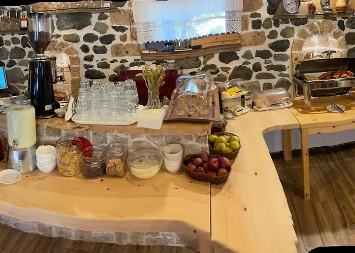 Bujtina Liana Guest house 4*