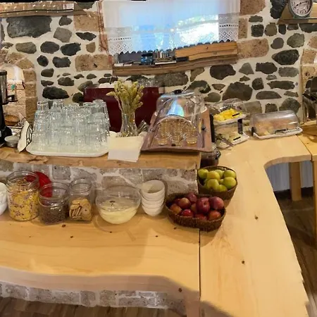 Bujtina Liana بيت ضيافة 4*
