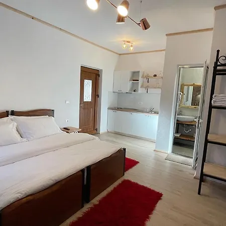 Bujtina Liana 4*
