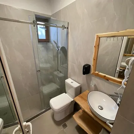 Bujtina Liana 4*