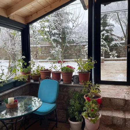 Bujtina Liana 4*