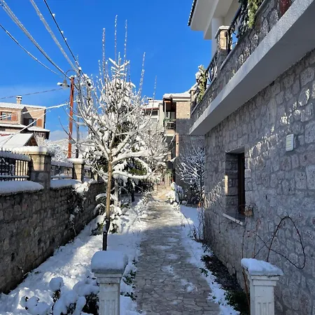 Bujtina Liana 4* Voskopojë
