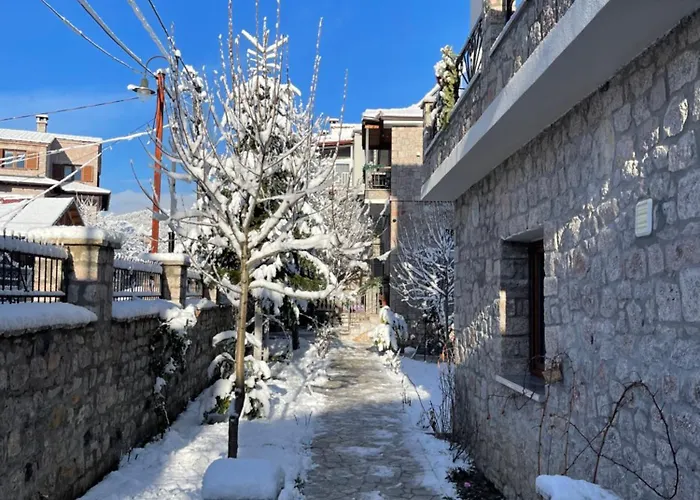 Bujtina Liana 4* Voskopojë